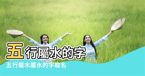 11劃屬水的字|五行十一劃屬水的字